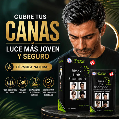SHAMPOO PINTA CANAS NEGRO Caja /10 Sobres(ORIGINAL)